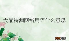 指非常不好,根本不行 大漏特漏网络用语什么意思