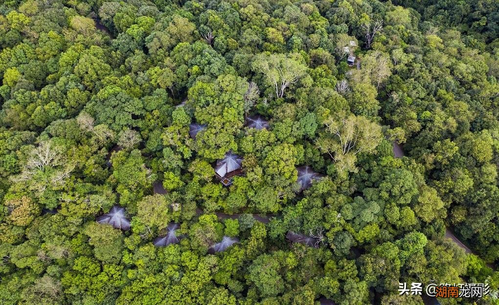 普洱是一座什么样的城市 普洱是哪个省哪个市的城市