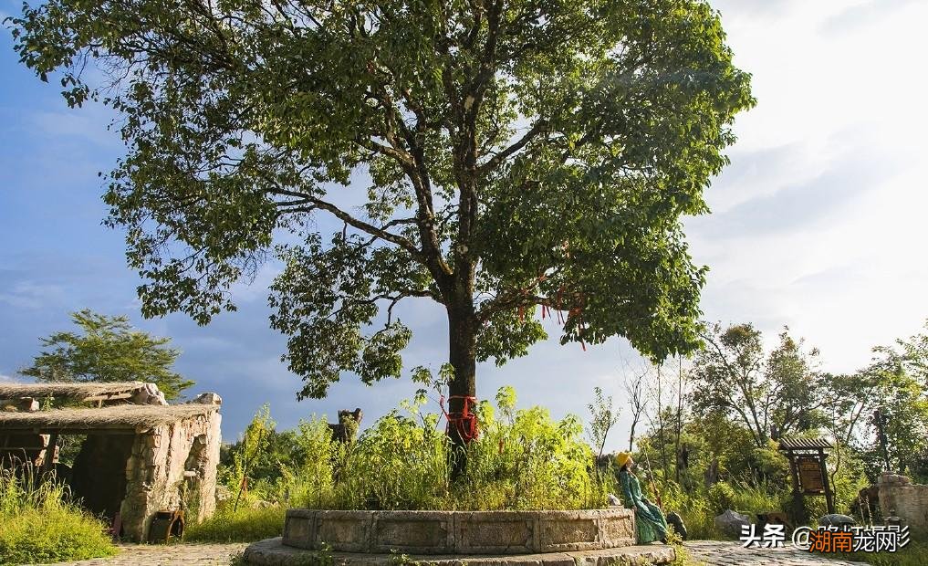 普洱是一座什么样的城市 普洱是哪个省哪个市的城市