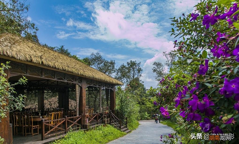 普洱是一座什么样的城市 普洱是哪个省哪个市的城市