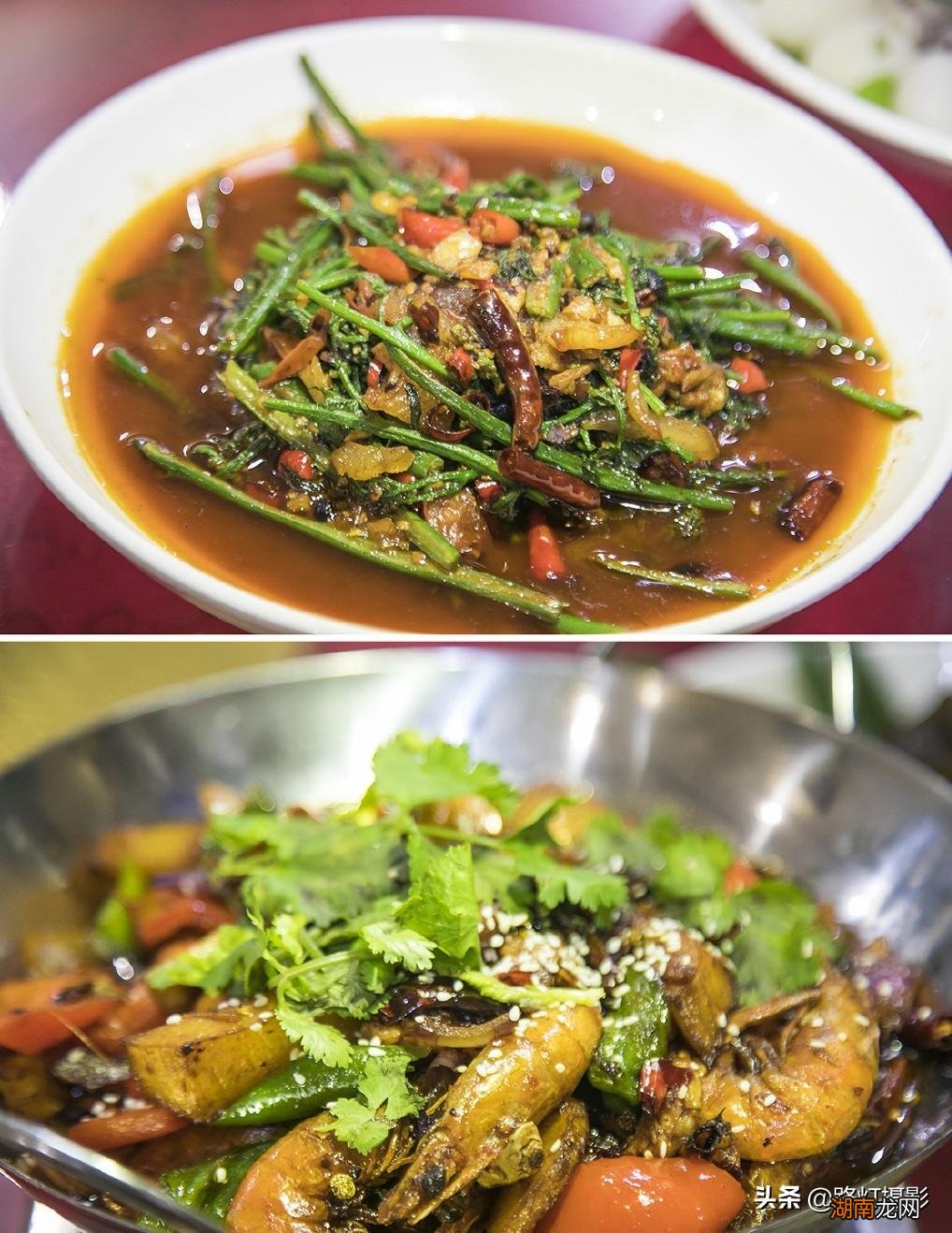 普洱是一座什么样的城市 普洱是哪个省哪个市的城市