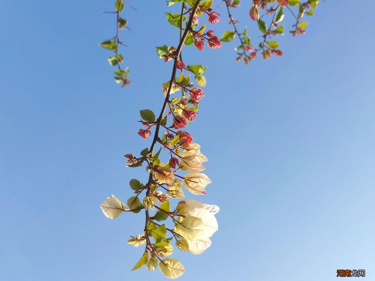 盘点古代诗人笔下的那些绝美的古诗词 好听的古诗词