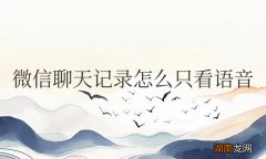 微信聊天记录怎么只看语音消息