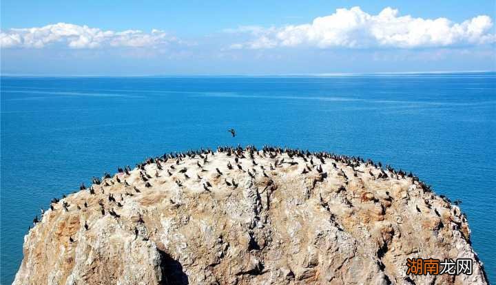 我国最大的湖泊是青海湖 中国最大的湖是哪个湖