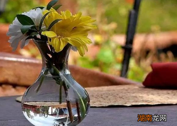 阿司匹林养花的正确使用方法 一片阿司匹林兑多少水浇花