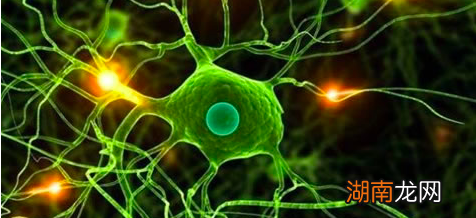 为什么致死率却是0 内陆太攀蛇是世界上最毒的蛇吗