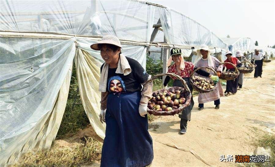 黄河的源头究竟在什么地方 黄河发源于哪里