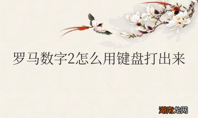 罗马数字2怎么用键盘打出来