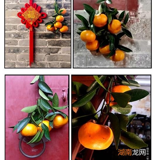 “除夕”与“年”的传说介绍 年的由来传说故事简短