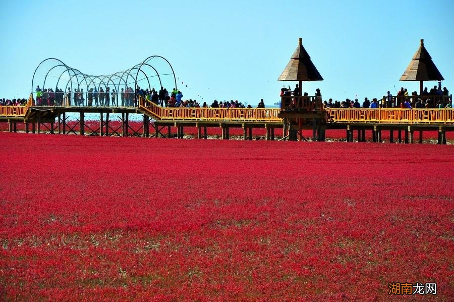 四线城市盘锦目前发展情况 辽宁盘锦市是几线城市