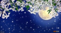 春宵一刻值千金的最佳注解 春宵是什么意思啊