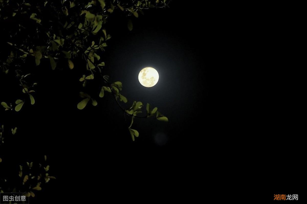 春宵一刻值千金的最佳注解 春宵是什么意思啊