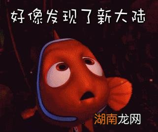 鱼类的记忆储存在哪里 鱼真的只有七秒钟的记忆吗