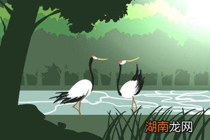 选公墓哪一排位置的讲究要点 如何选墓地风水宝地