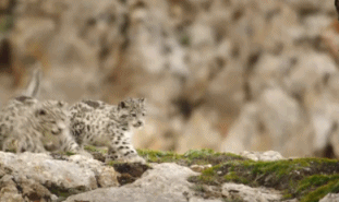 10部央视出品的高分纪录片 中国十大必看纪录片