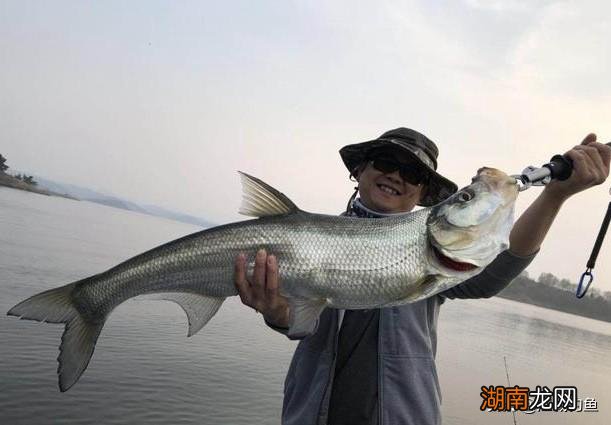 钓翘嘴用哪种鱼钩高效合适 钓翘嘴用什么鱼钩钓最好用