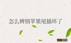 苹果手机尾插坏了什么现象 怎么辨别苹果尾插坏了