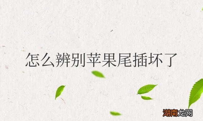 苹果手机尾插坏了什么现象 怎么辨别苹果尾插坏了