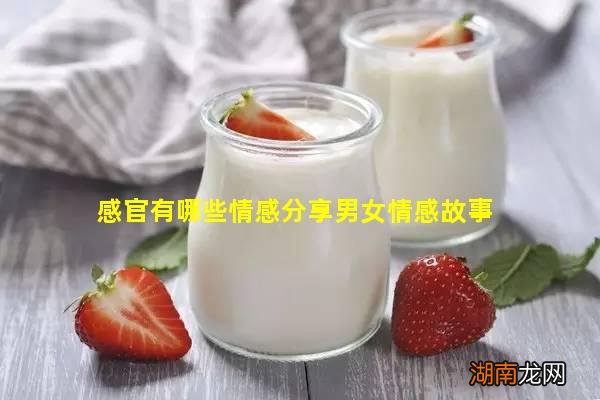 感官有哪些情感分享男女情感故事