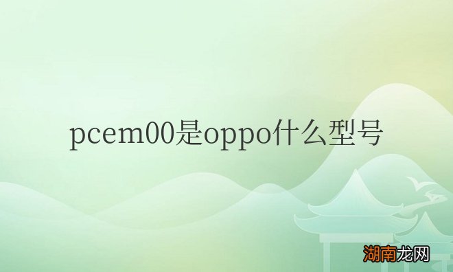 oppo A9x手机参数性能 pcem00是oppo什么型号