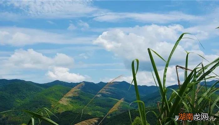 广东好玩的云浮十景地方推荐 广东云浮十大旅游景点