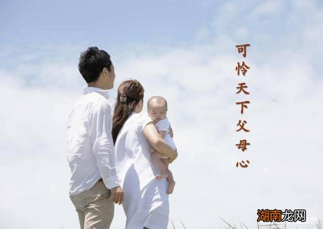 这个诗句出自哪里 可怜天下父母心的意思