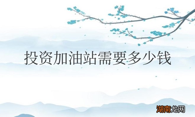 投资加油站一年的盈利是多少 投资加油站需要多少钱