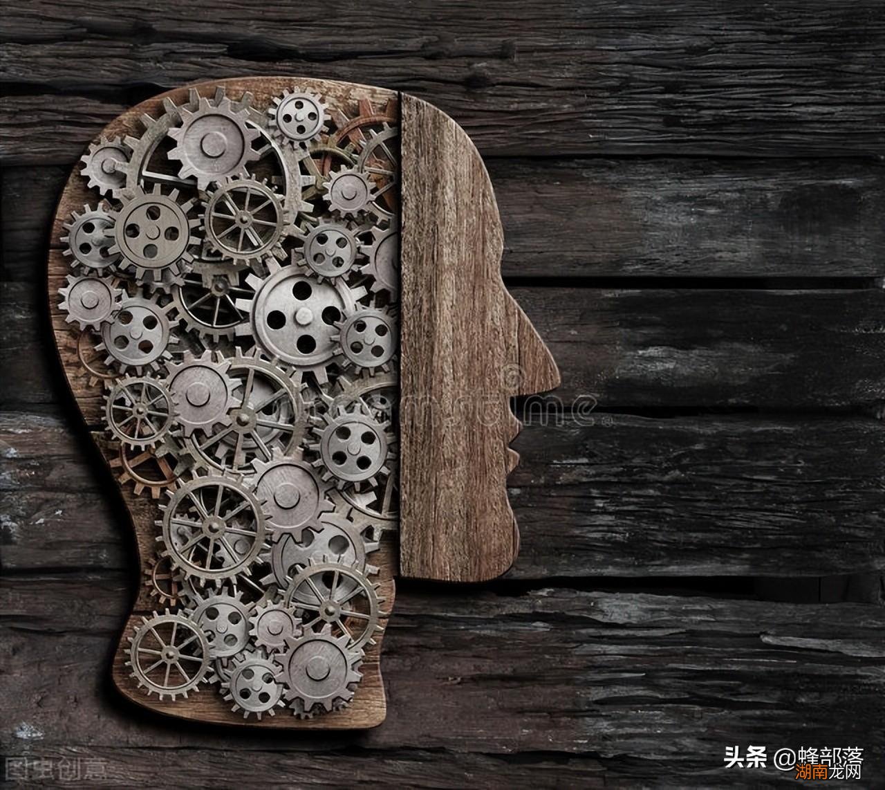 为何能精准定位蜜源方位 蜜蜂靠什么辨认方向和传达信息