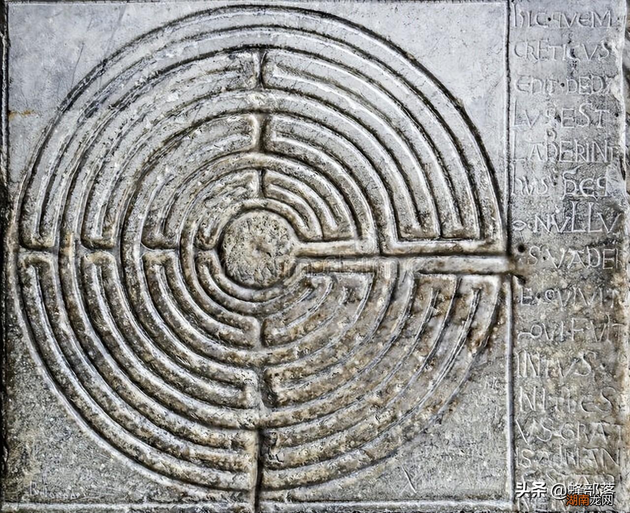 为何能精准定位蜜源方位 蜜蜂靠什么辨认方向和传达信息