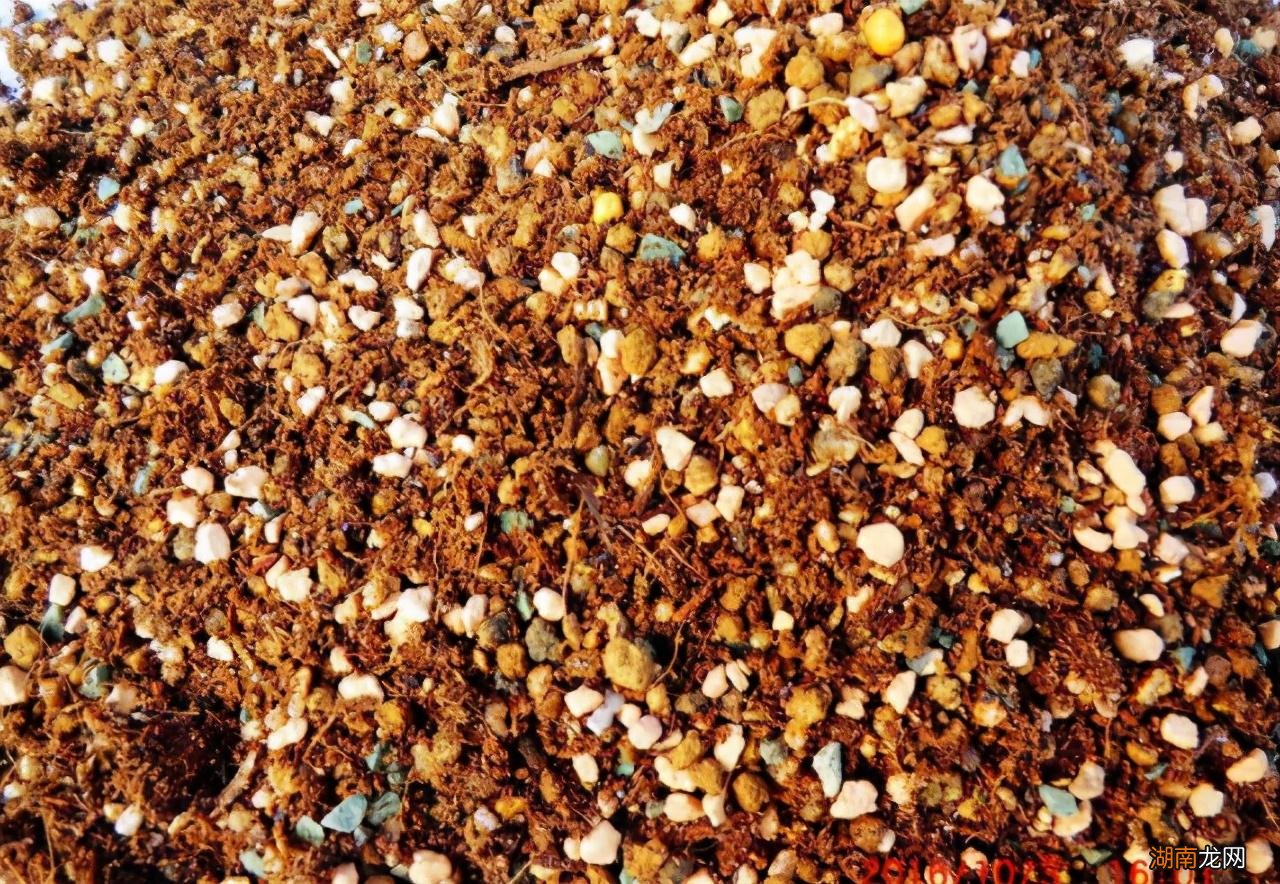 家庭制作多肉营养土简单方法 农村自制多肉土的方法