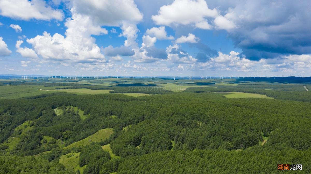 避暑胜地塞罕坝位于河北省围场县 塞罕坝在哪里