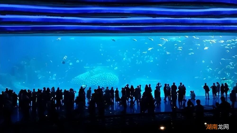 推荐珠海这6个绝美好去处 珠海有什么好玩的地方景点