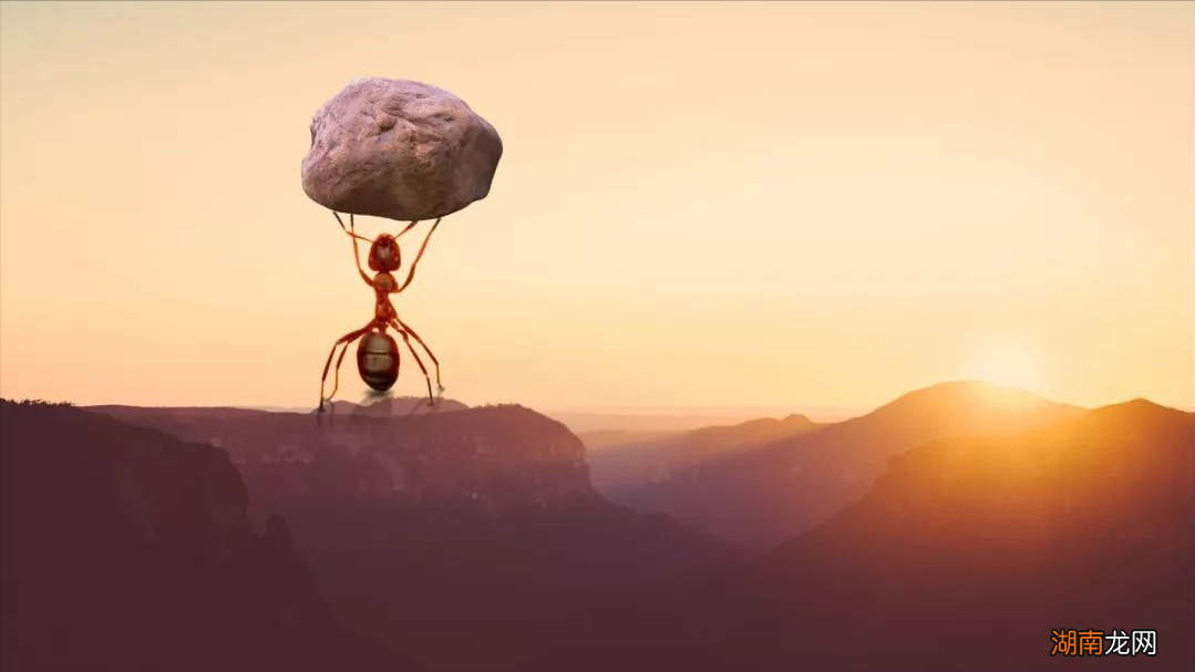 6本重生商业小说排行 重生经商的经典小说推荐