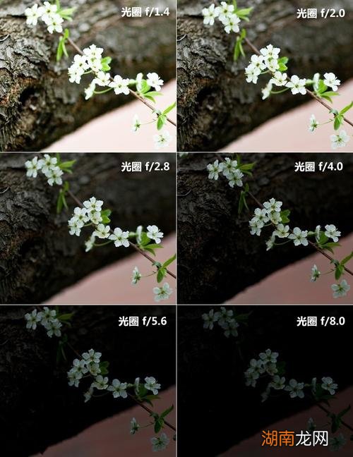 拍人像一般用多大光圈 光圈越大背景越模糊吗