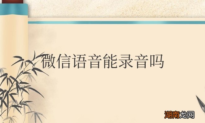 微信语音能录音吗