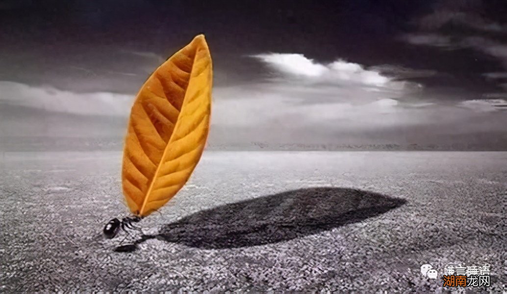 什么都是浮云的图片 居然可以这样什么都是浮云