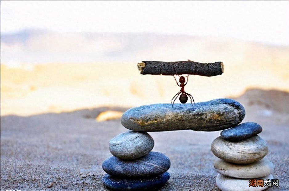 什么都是浮云的图片 居然可以这样什么都是浮云