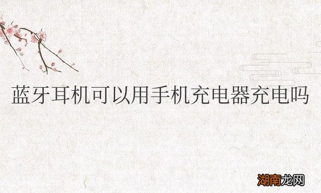 华为蓝牙耳机可以用手机充电器充电吗