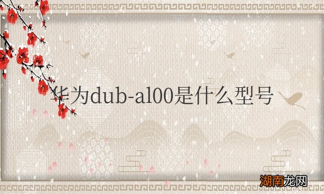 华为畅享9手机配置详情 华为dub-al00是什么型号