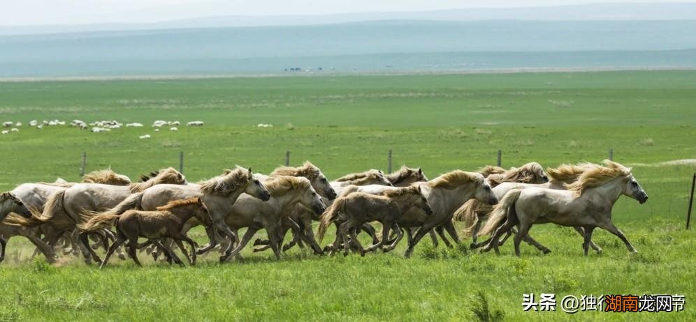 内蒙古是中国最狭长的省级行政区 内蒙古属于哪个国家