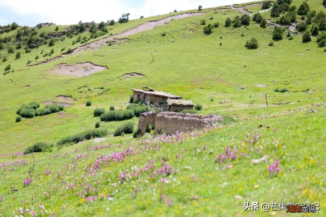 西藏那曲索县盛产虫草经济却落后 索县海拔多少米