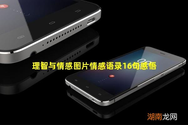 理智与情感图片情感语录16句感悟