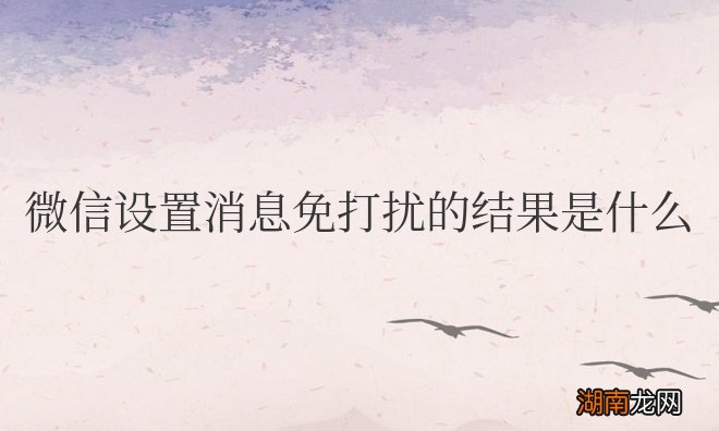 微信设置消息免打扰的结果是什么意思