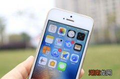 苹果手机屏幕放大了怎么恢复正常开不了锁