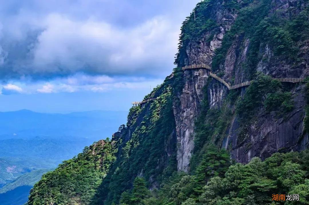 唐代韩愈的师说全文译文及注释赏析 师说文言文翻译