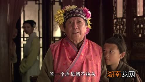 红楼梦刘姥姥进大观园主要内容 刘姥姥进大观园是第几回