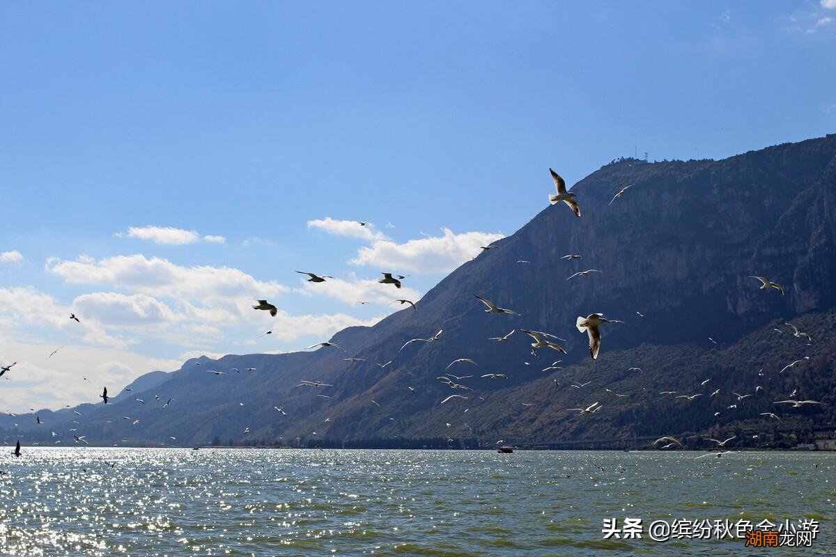 昆明旅游必去十大景点推荐 昆明一日游最佳景点一览表