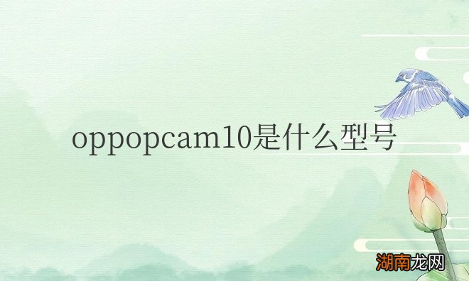 oppo A9参数详情 oppopcam10是什么型号手机