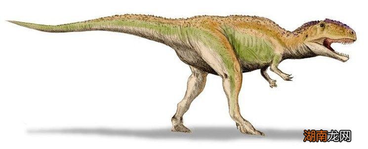 以前最厉害的恐龙是什么恐 世界上最可怕的恐龙