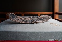 雷击木价格为什么那么贵 雷击木是什么木头